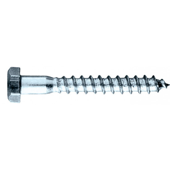 ВИНТ INOX 6x100