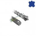 SDS MAX