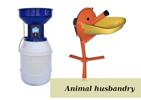 Livestock